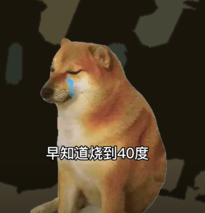 酸辣土狗丝图6