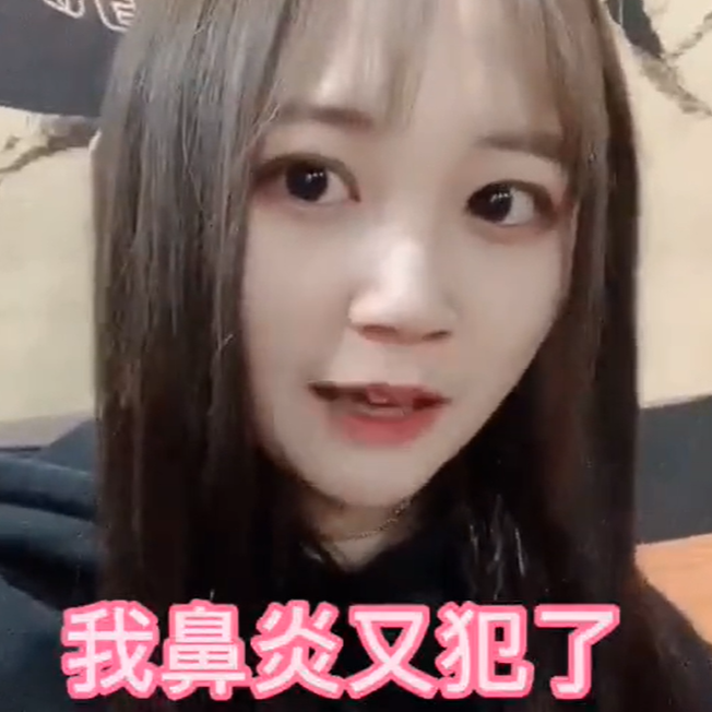 小香猪网红图4