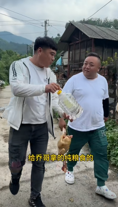 雨姐家大乔图4