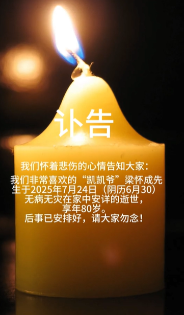 凯凯的幸福生活图5
