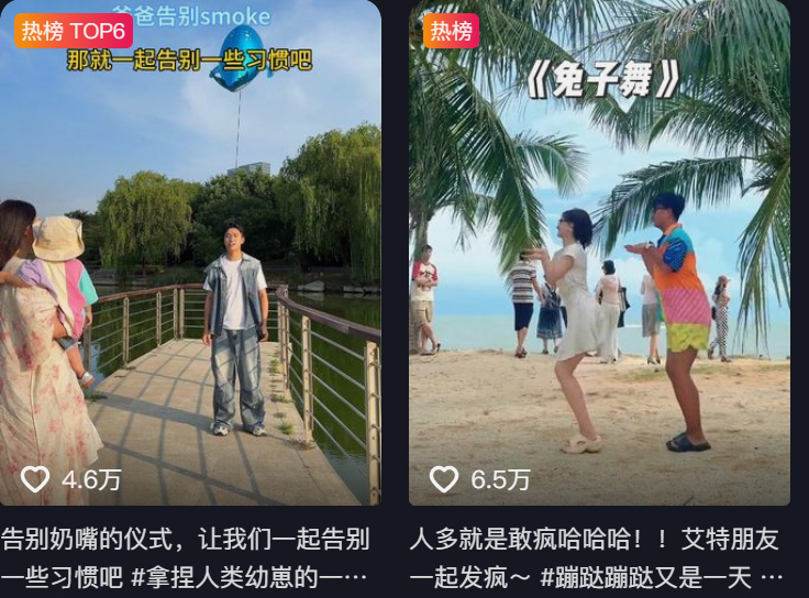 喵大仙就是喵一夏图2