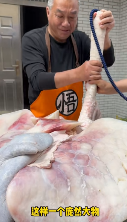 高彩萍和乔老爷图4