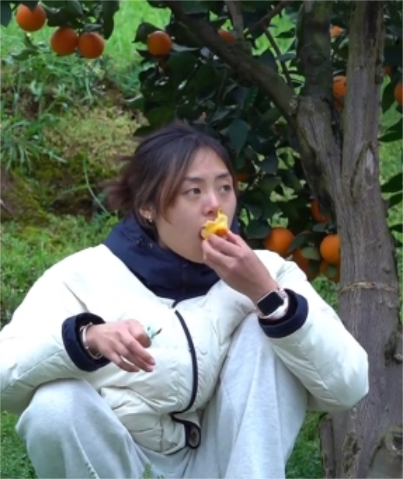 我是拉不拉金图2