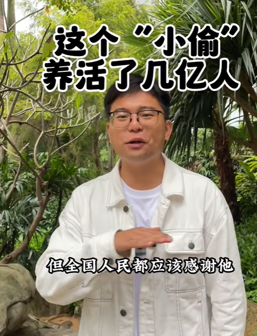 厦门阿远图2