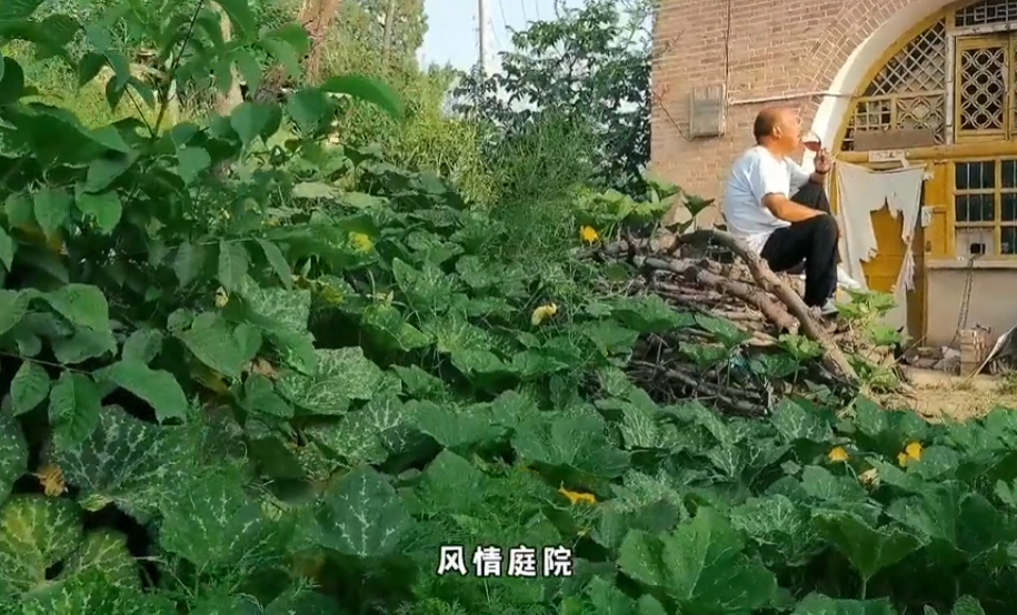 王二狗也图6