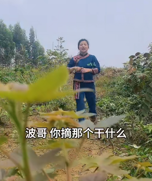 覃班长的乡村生活图5