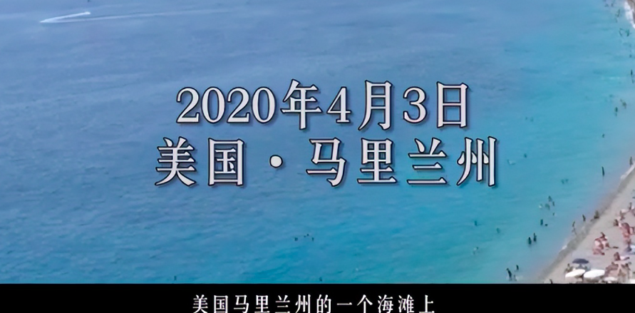 猫爷的渔场图2