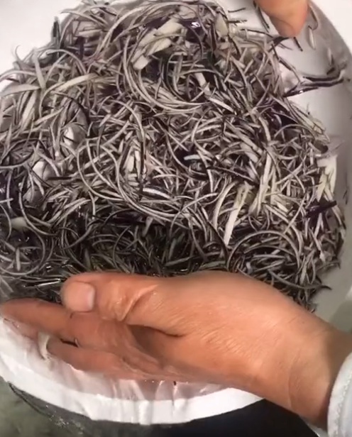 河南老朱下厨房图4