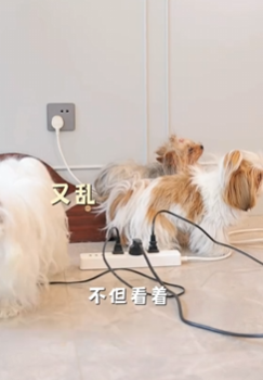 武發發图2