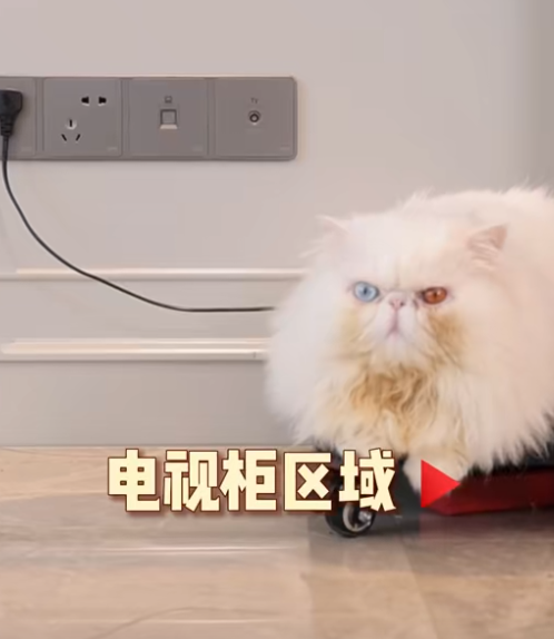 武發發图4