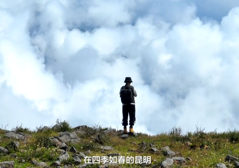 小神仙victory图2