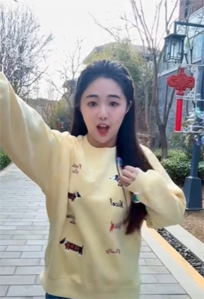 金龟子的娃娃图3