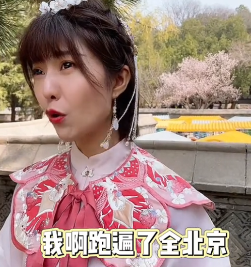 北京话丽哥图4