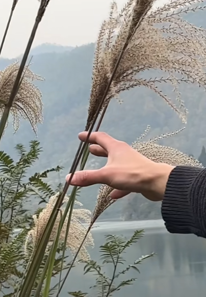 范图5