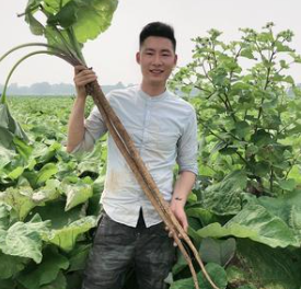 大盛植物说