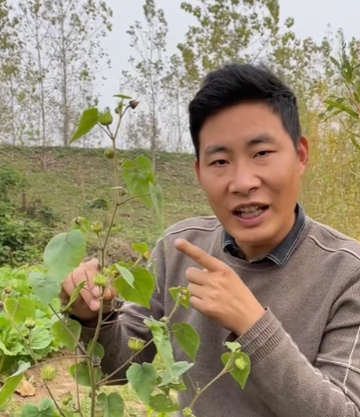 大盛植物说图5