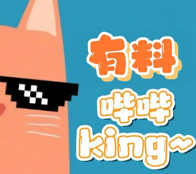 有料哔哔King