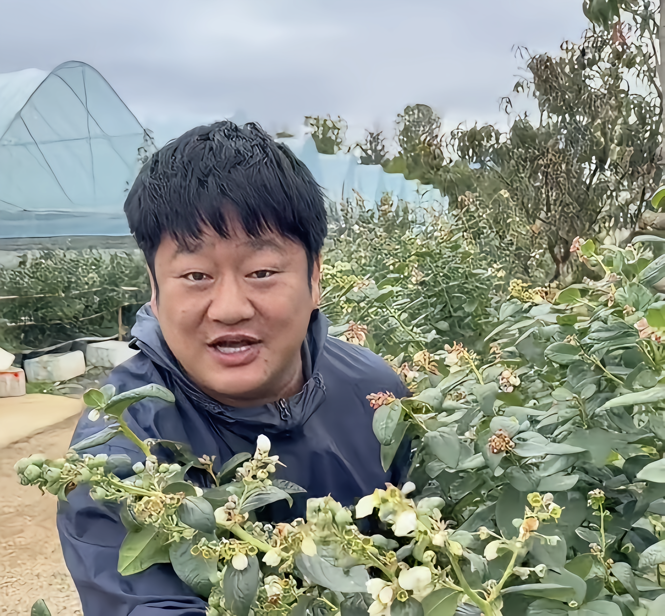 石榴哥图3