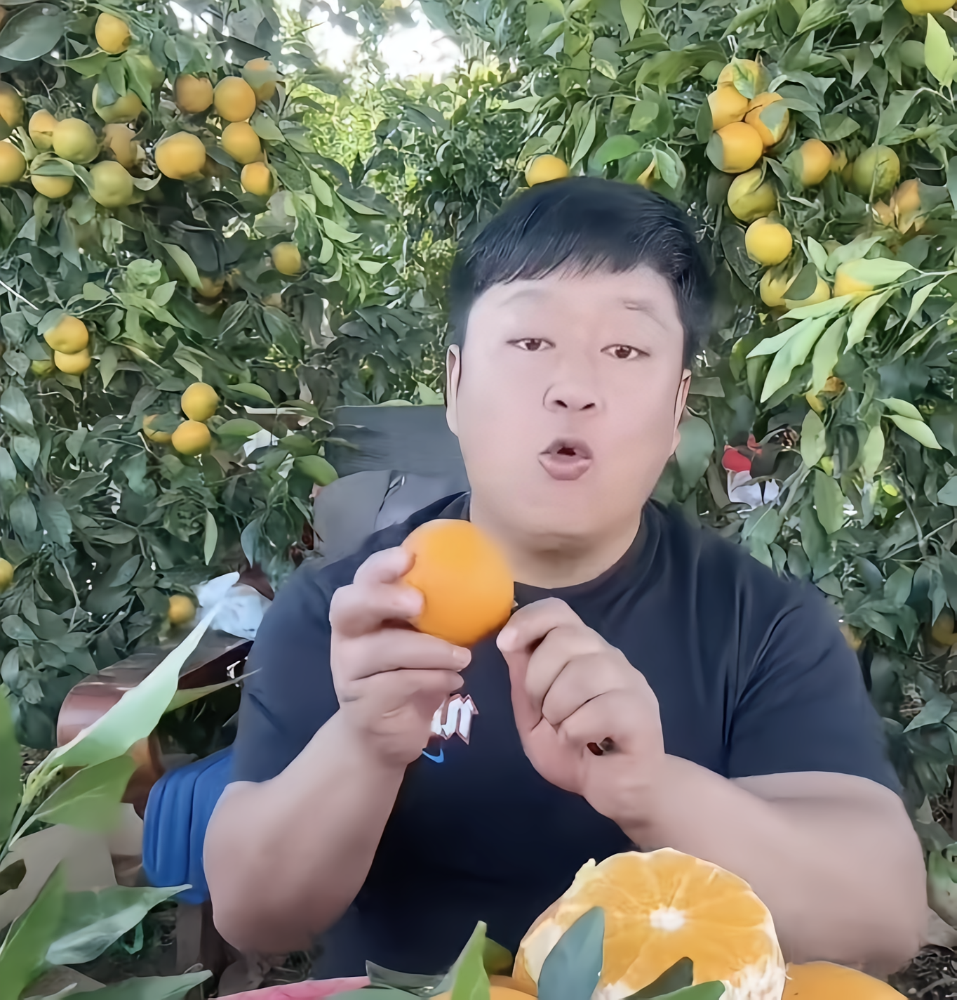 石榴哥图4