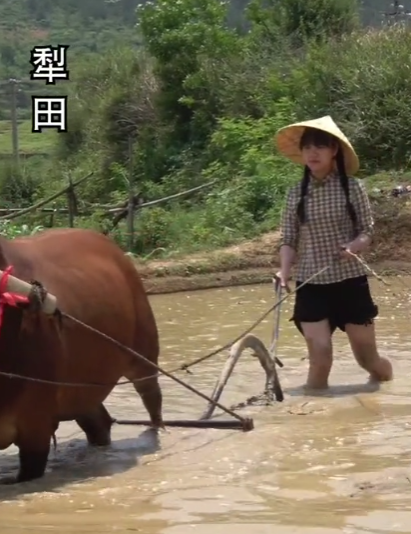 湘妹心宝图2