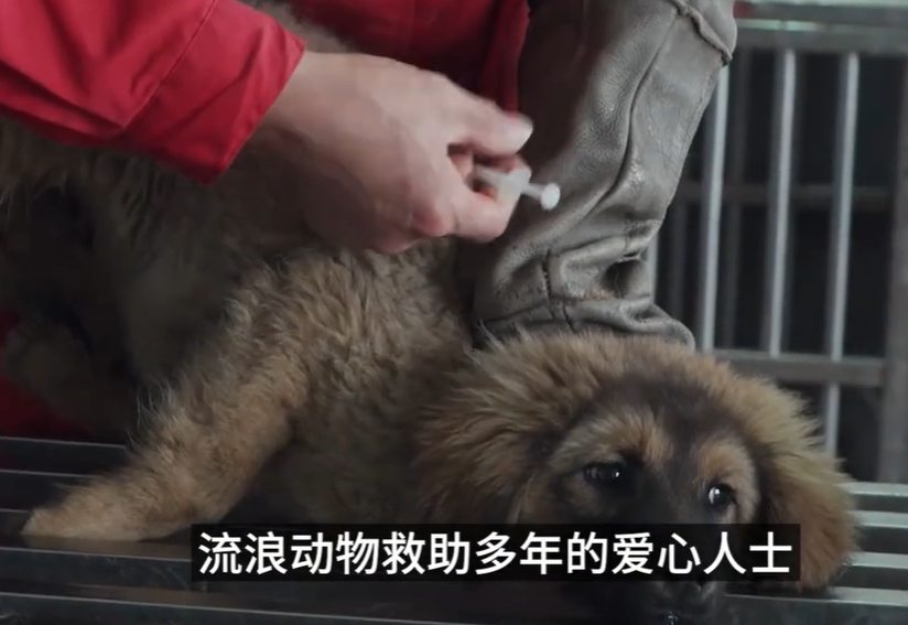 赛雷话金图5