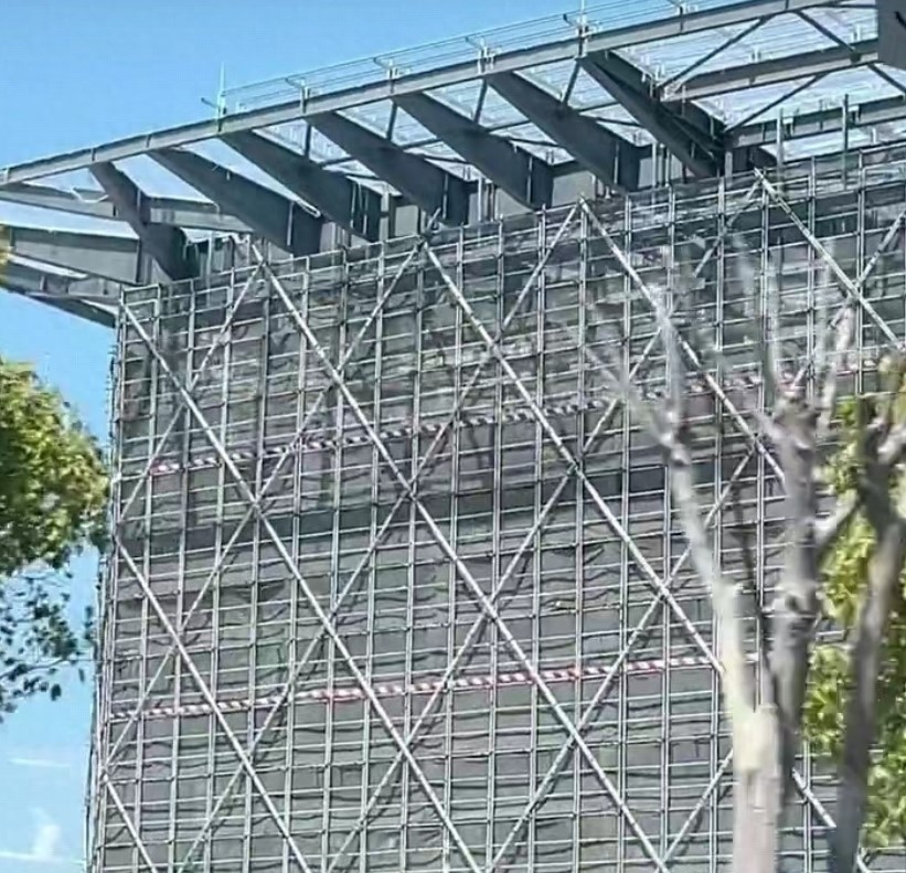 薛金春图3