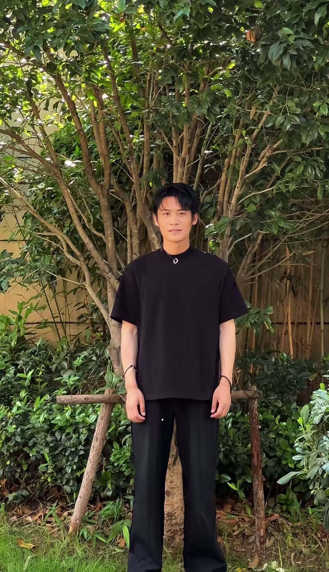 疯狂大杨哥图2