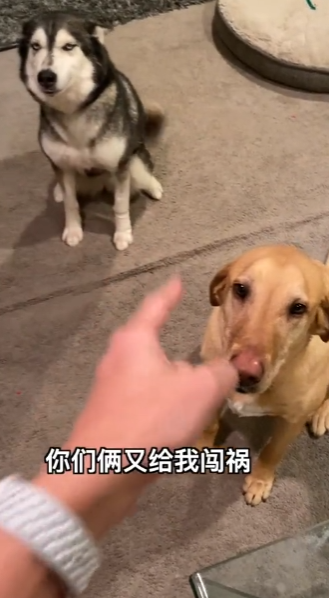保罗在美国图3