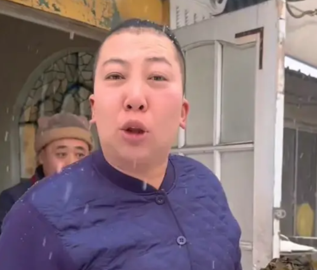 东北雨姐图4