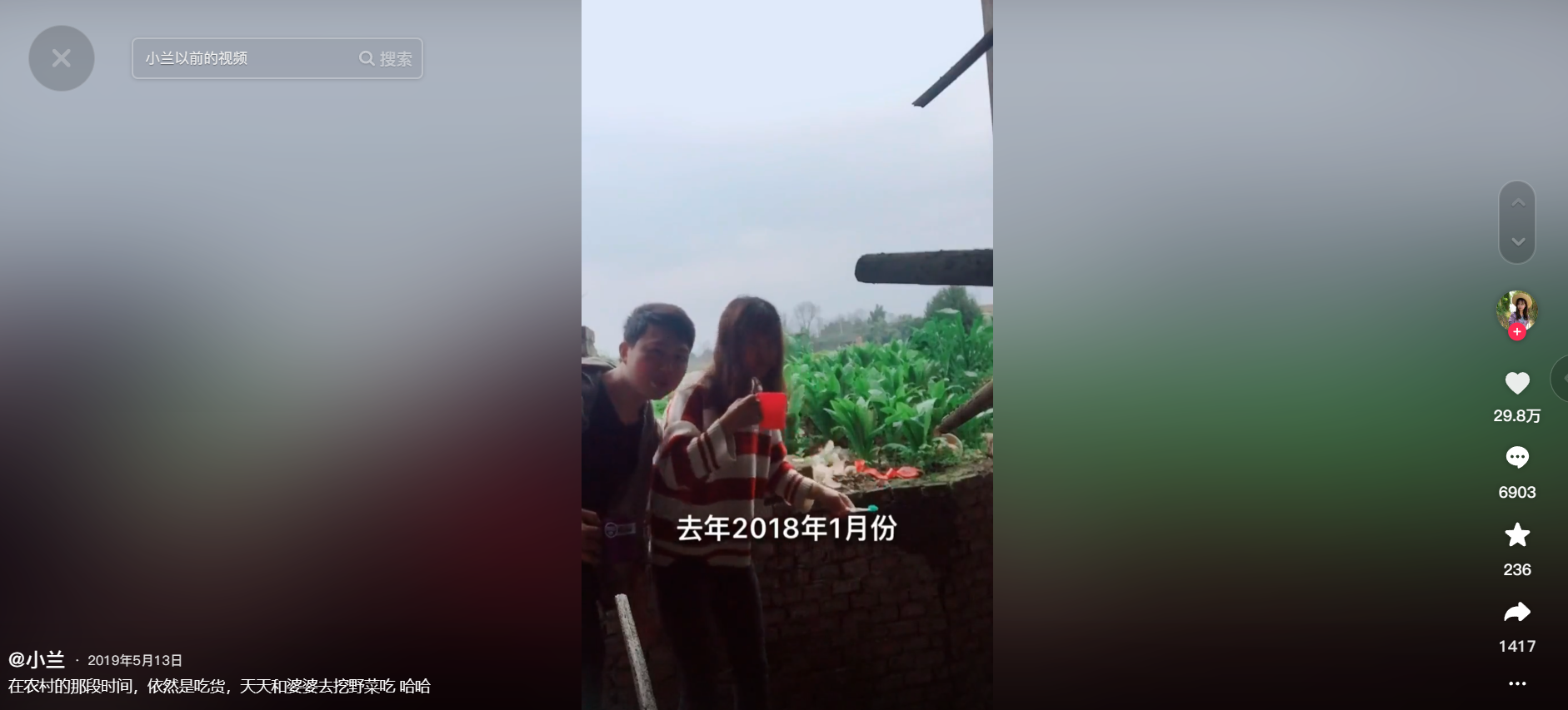 小兰图3
