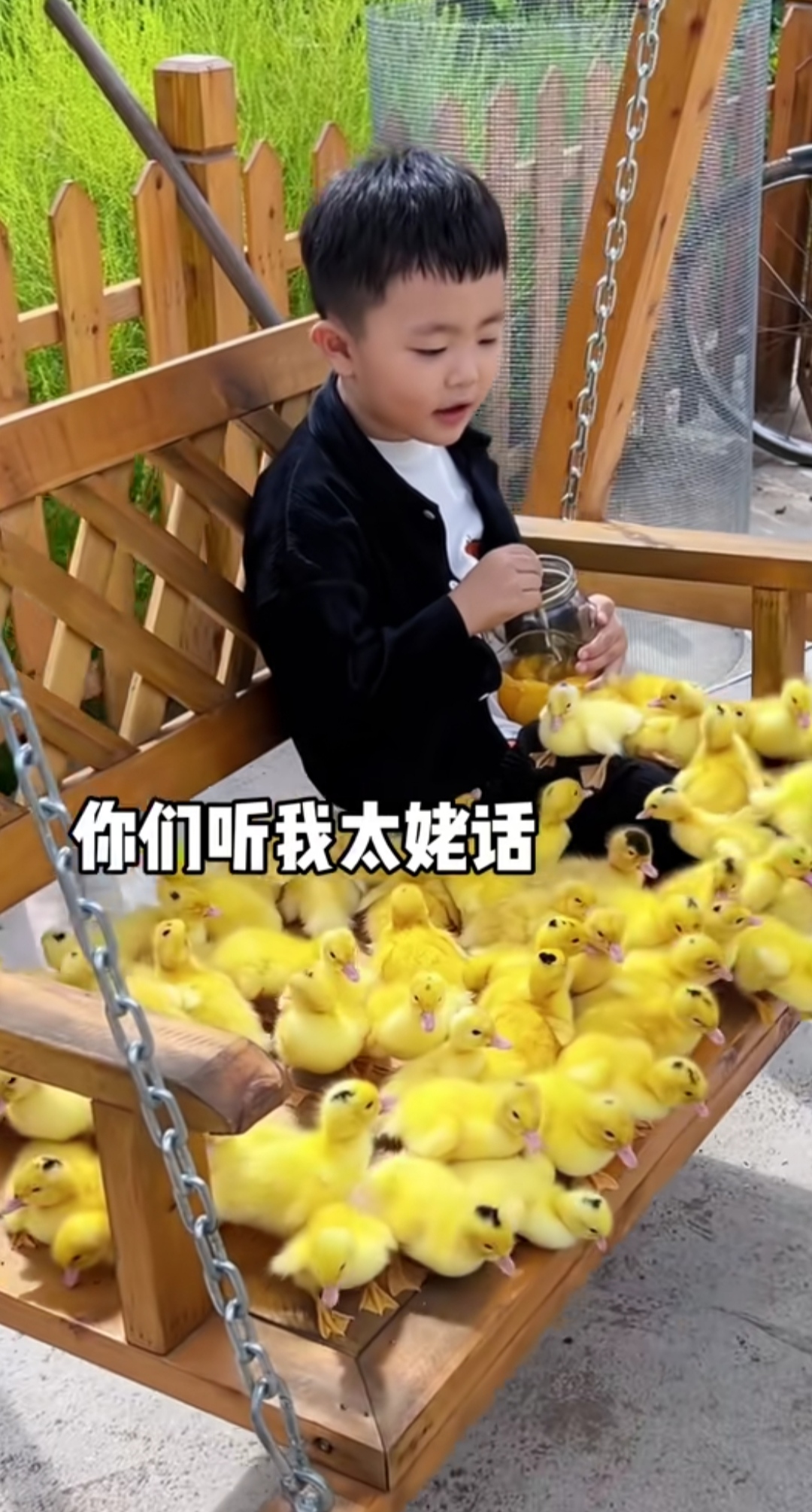 多肉小盆友图3