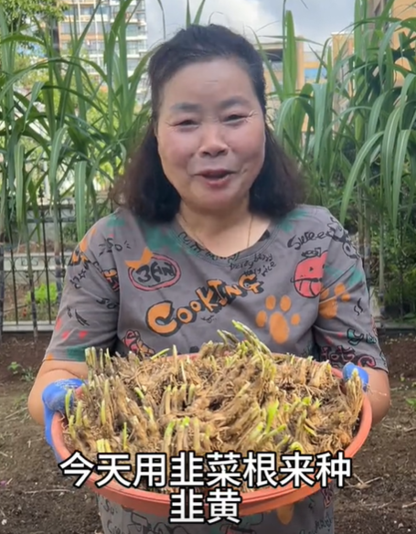 唐小米图3