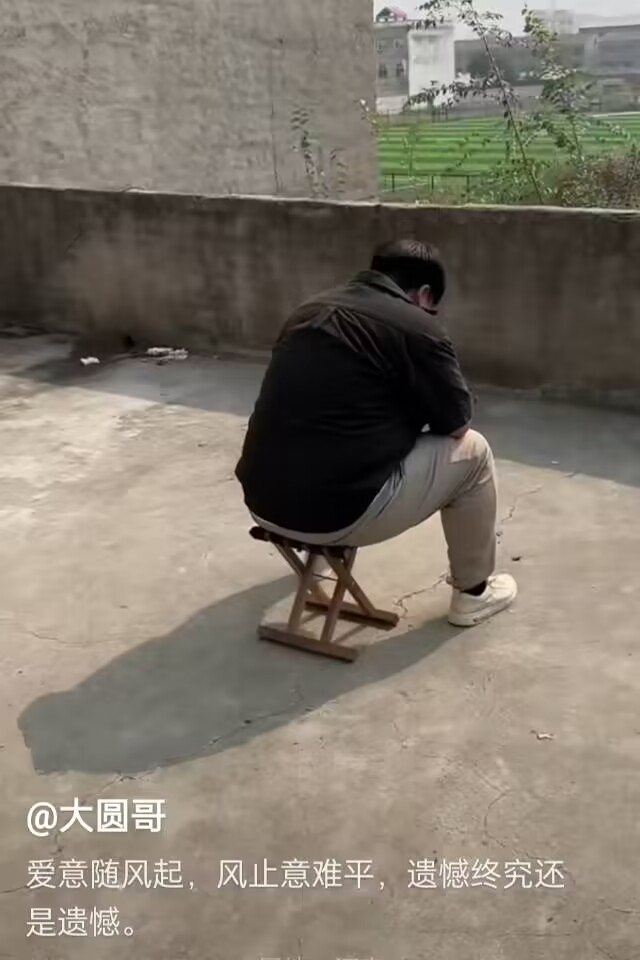 大圆哥图2