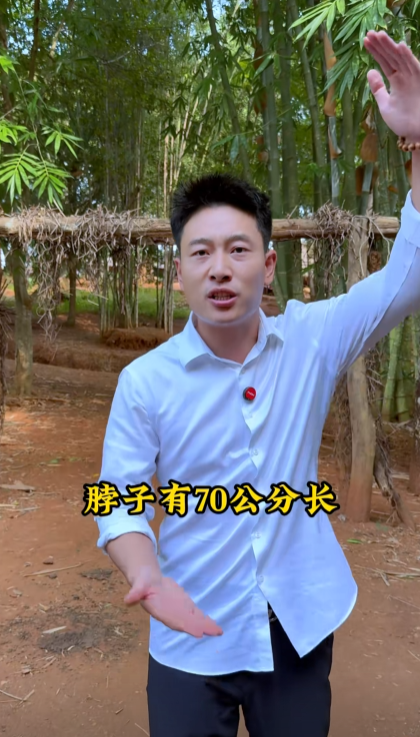 厦门阿波图2