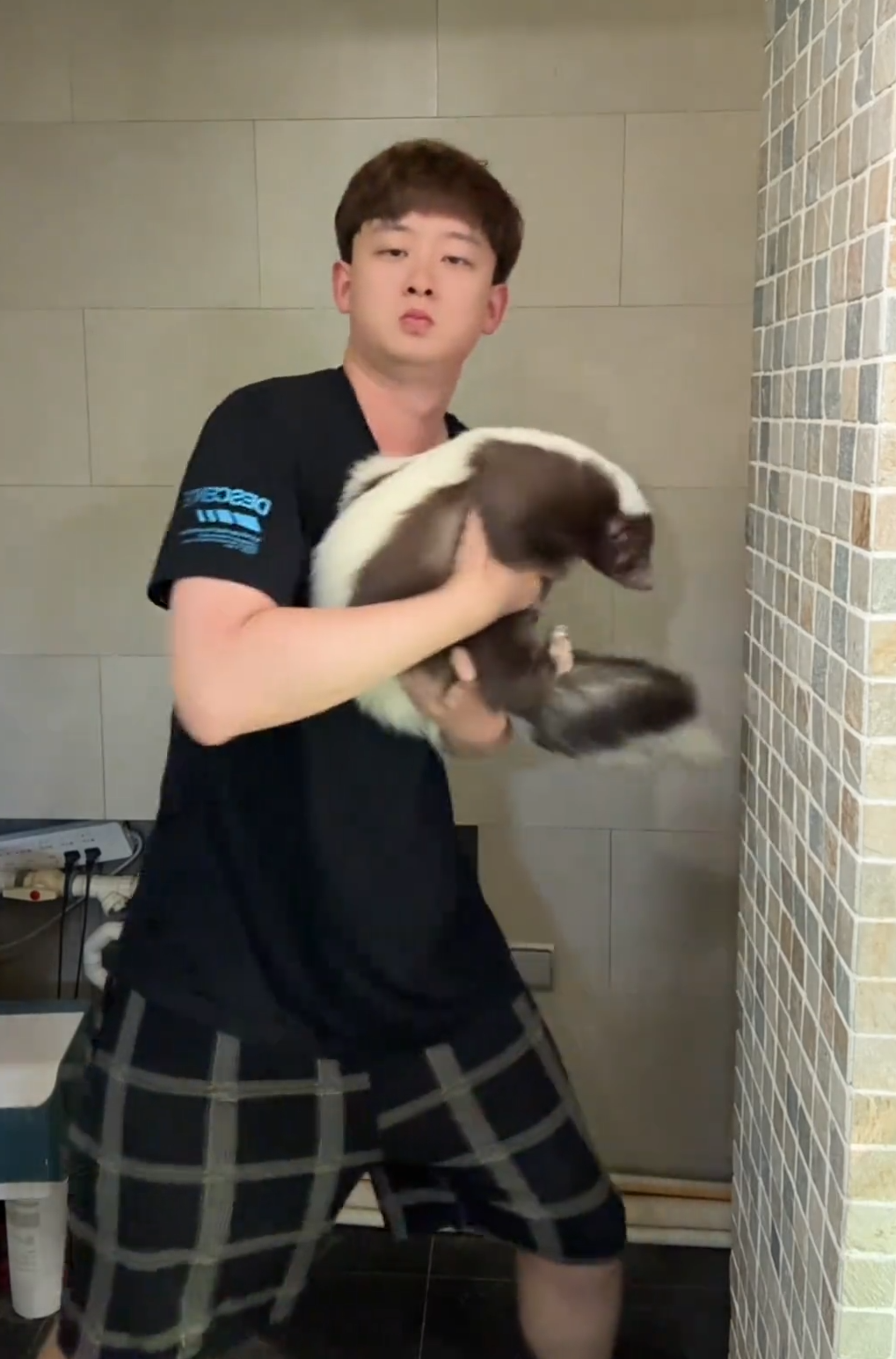 王小怪图2