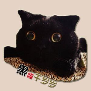 千岁岁