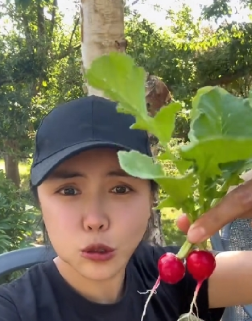 丹麦迷歌图3