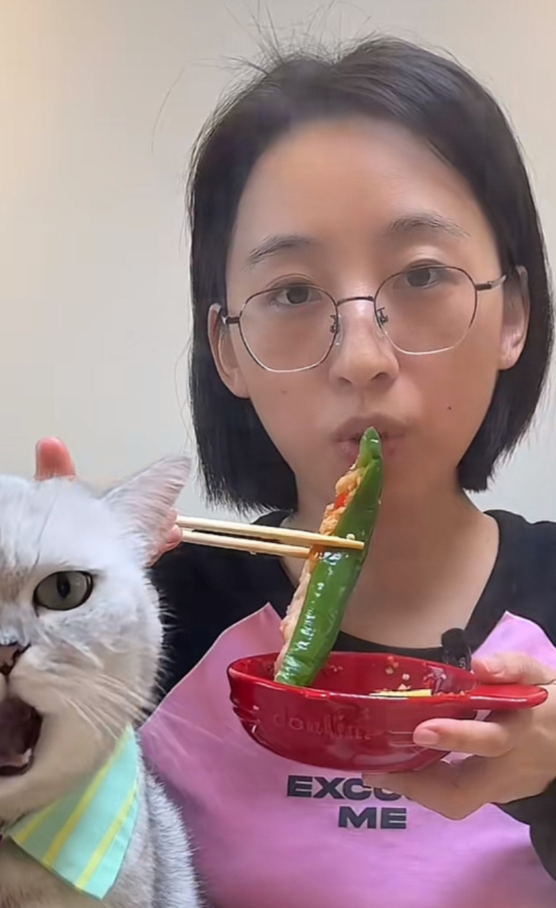 料理猫王图5