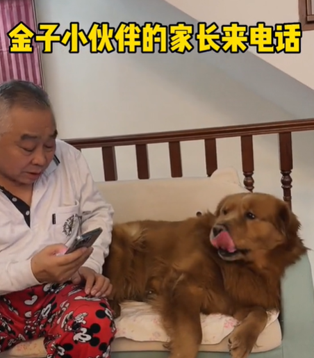 憨憨金和帅帅银图3