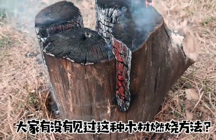 野外大熊图2