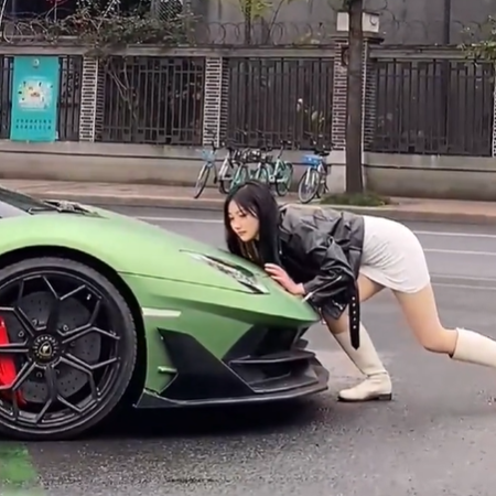 胖藤七图5