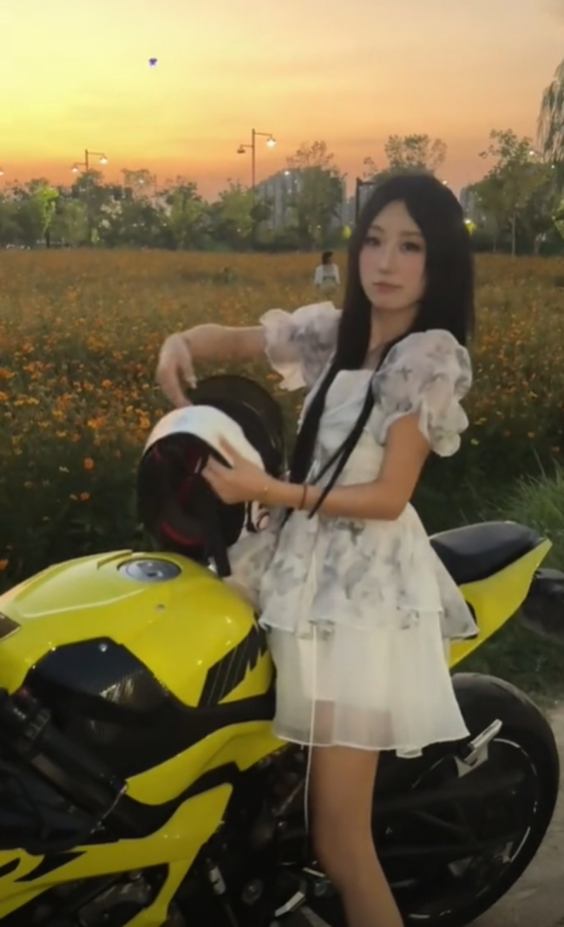 小熊图3