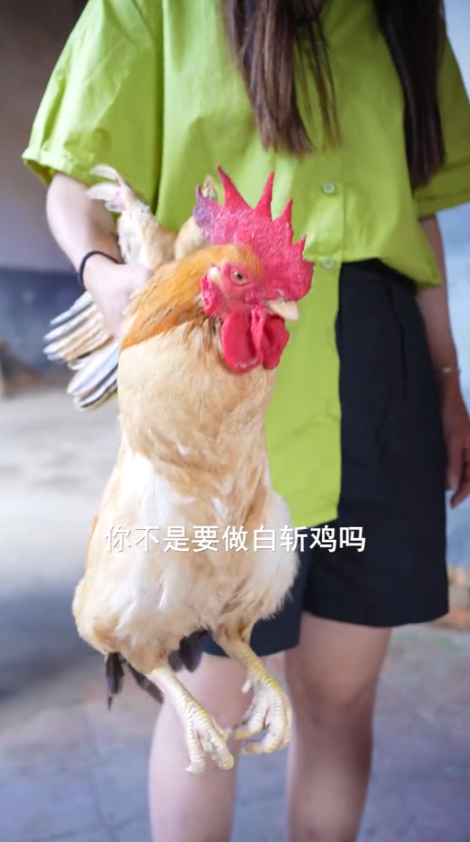 张小云和阿玲图6