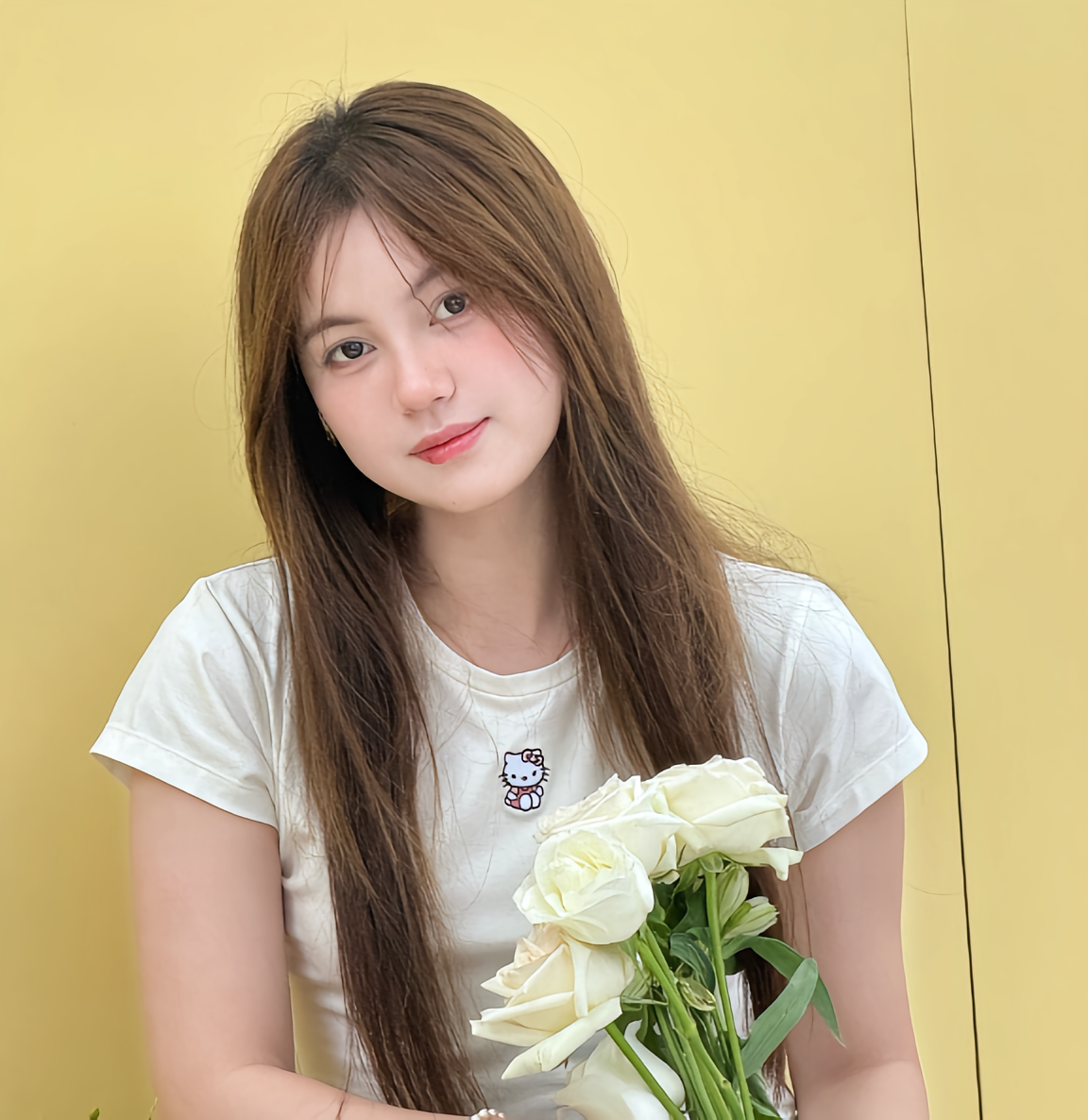 加菲菡z
