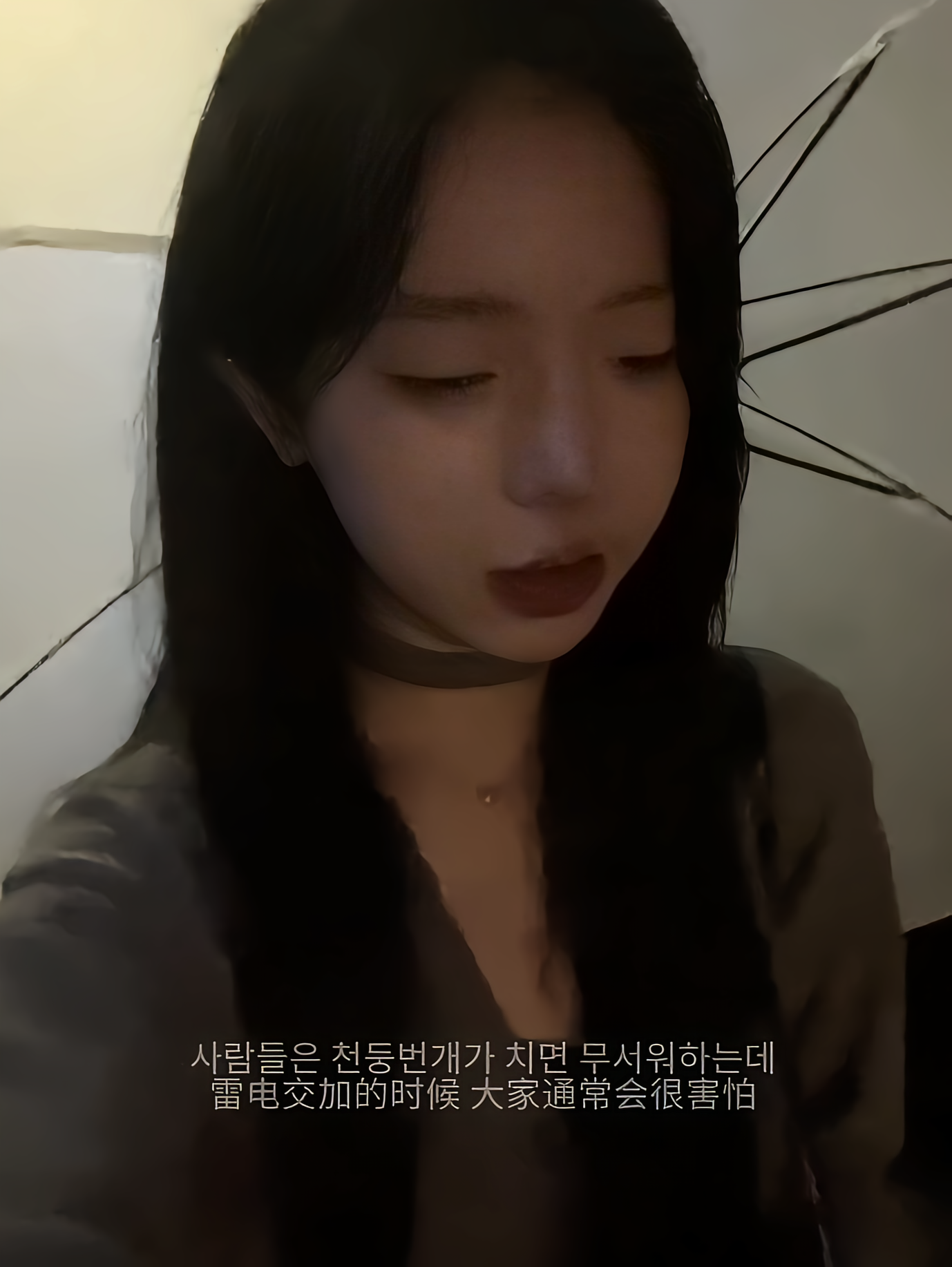 愚蠢小刘图2