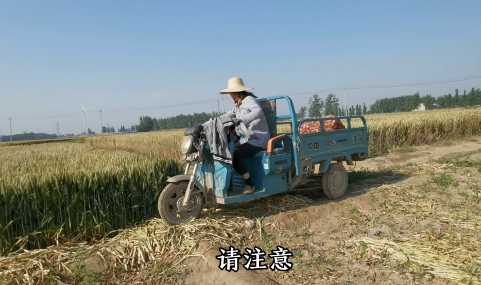 大鹏二鹏要努力图2