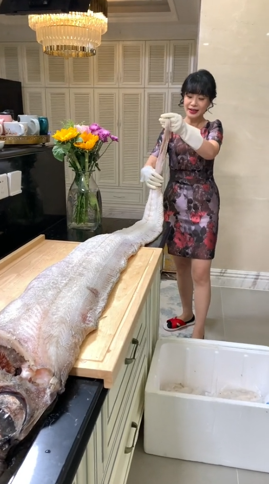 Cici888的家宴图6