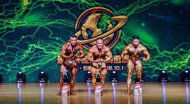 范宏华图2