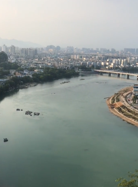 癫癫燕图5