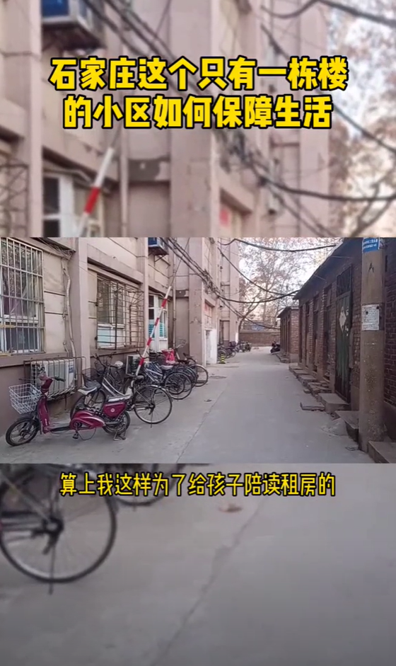 小泽很瑞图2